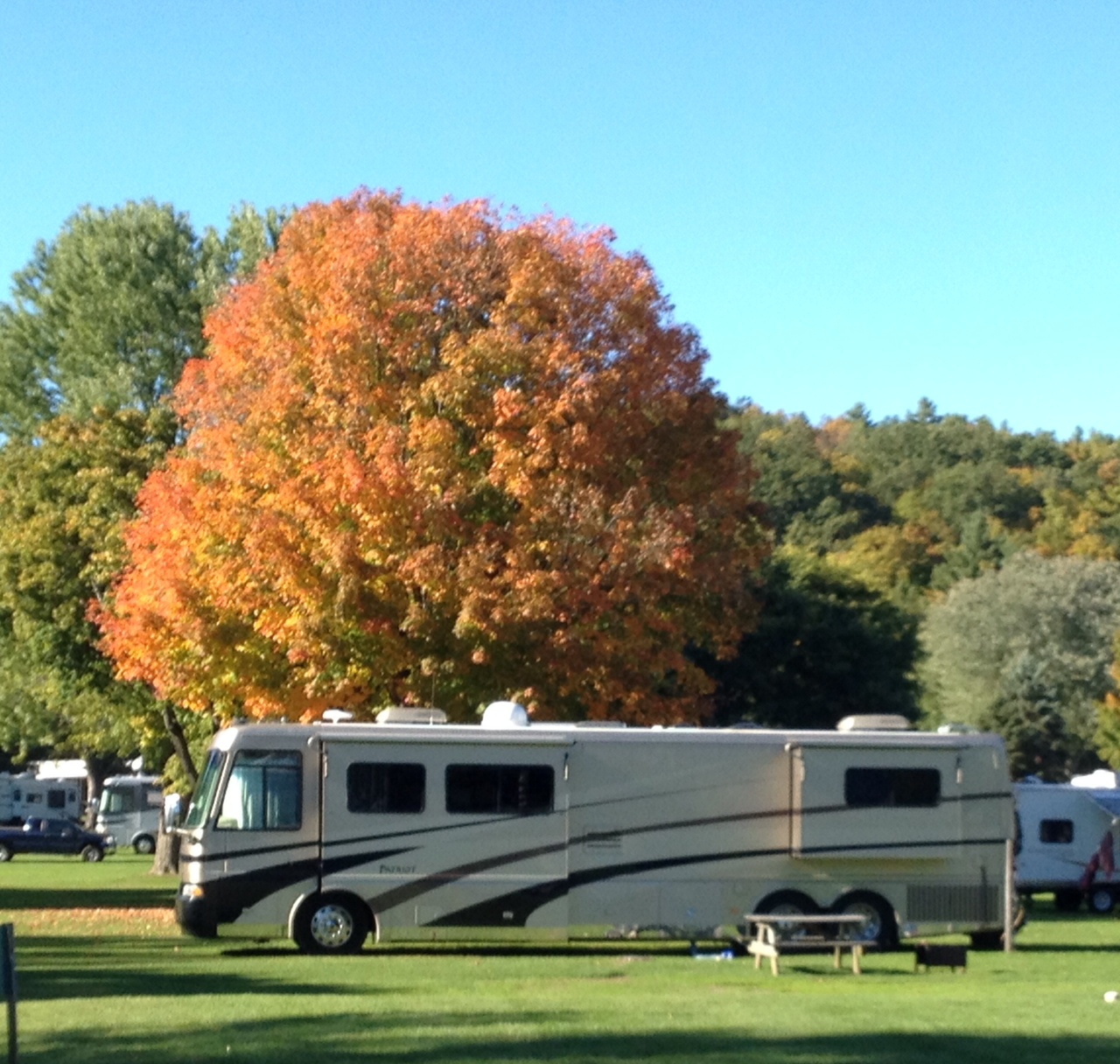 RV with trees